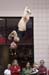 09Sneak3D_00150