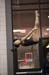 09Sneak4D_00271