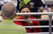 20100421_NCAAPK_8996
